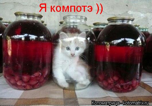 Котоматрица: Я компотэ ))