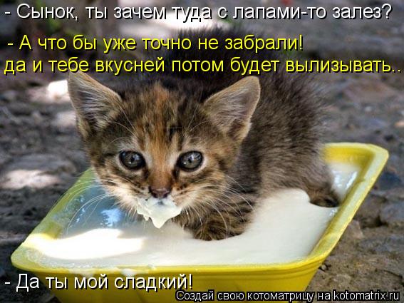 Котоматрица: - Сынок, ты зачем туда с лапами-то залез? - А что бы уже точно не забрали! да и тебе вкусней потом будет вылизывать.. - Да ты мой сладкий!