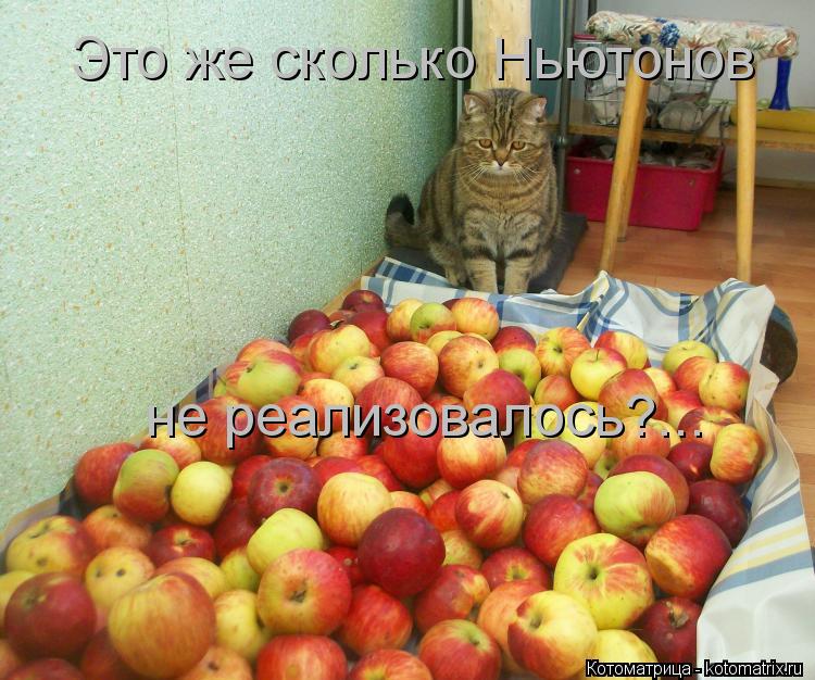 Это же сколько Ньютонов не реализовалось?...... Котоматрица: Это же сколько Ньютонов не реализовалось?...