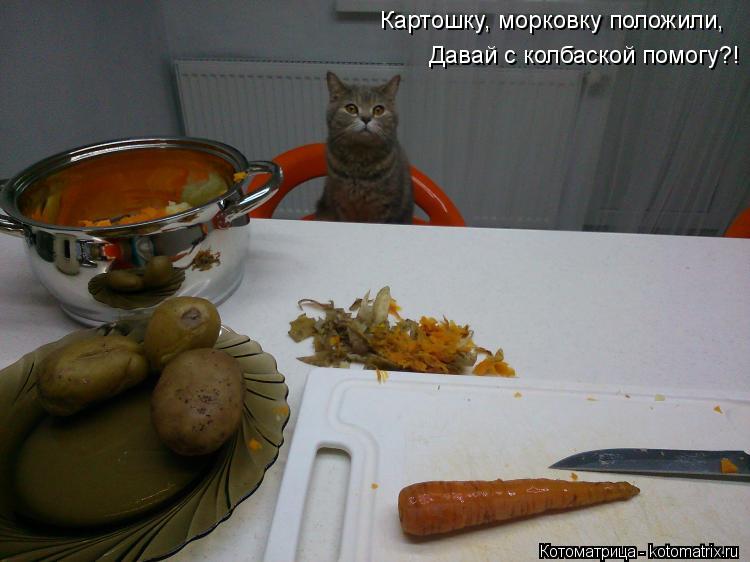 Картошку, морковку положили, Давай с колбаской помогу?!... Котоматрица: Картошку, морковку положили, Давай с колбаской помогу?!