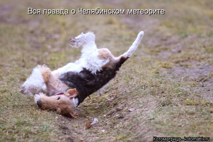 Вся правда о Челябинском метеорите... Котоматрица: Вся правда о Челябинском метеорите