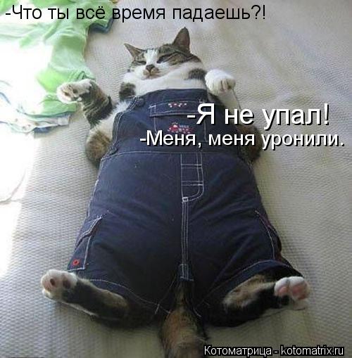 Котоматрица: -Что ты всё время падаешь?! -Я не упал! -Меня, меня уронили.