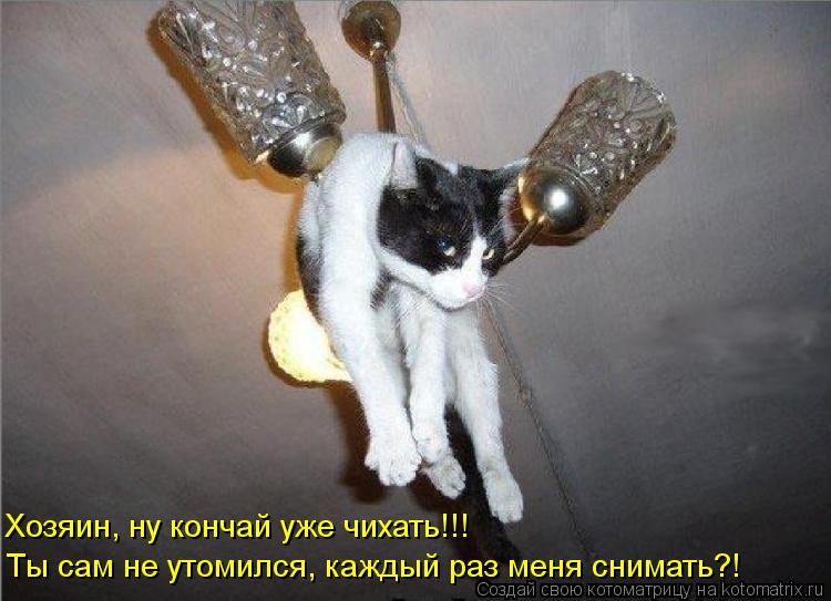 Хозяин, ну кончай уже чихать!!! Ты сам не утомился, каждый раз меня снимать?!... Котоматрица: Хозяин, ну кончай уже чихать!!! Ты сам не утомился, каждый раз меня снимать?!