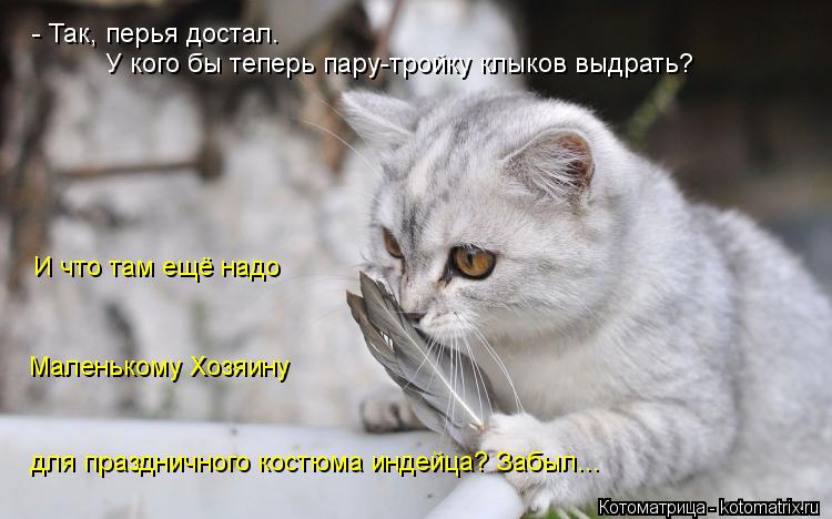 - Так, перья достал. У кого бы теперь пару-тройку клыков выдрать? И что там ещё надо Маленькому Хозя... Котоматрица: - Так, перья достал. У кого бы теперь пару-тройку клыков выдрать? И что там ещё надо Маленькому Хозяину для праздничного костюма индейца? Заб