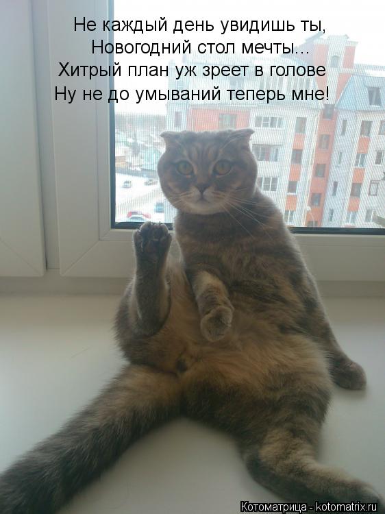 Не каждый день увидишь ты, Новогодний стол мечты... Хитрый план уж зреет в голове Ну не до умываний ... Котоматрица: Не каждый день увидишь ты, Новогодний стол мечты... Хитрый план уж зреет в голове Ну не до умываний теперь мне!