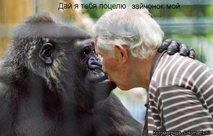 Дай я тебя поцелю зайчонок мой... Котоматрица: Дай я тебя поцелю зайчонок мой