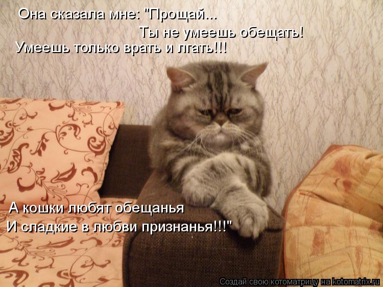 Котоматрица: Она сказала мне: "Прощай... Ты не умеешь обещать! Умеешь только врать и лгать!!! А кошки любят обещанья И сладкие в любви признанья!!!"