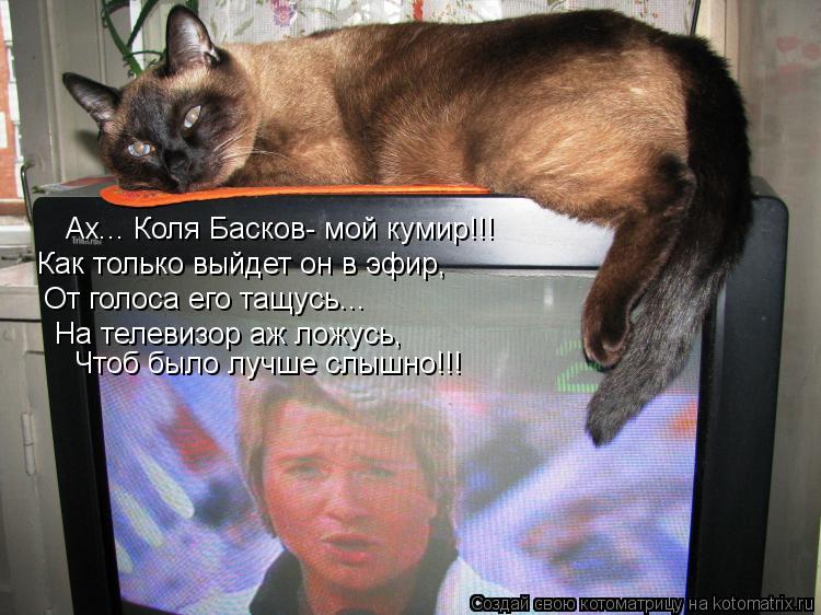 Котоматрица: Ах... Коля Басков- мой кумир!!! Как только выйдет он в эфир, От голоса его тащусь... На телевизор аж ложусь, Чтоб было лучше слышно!!!