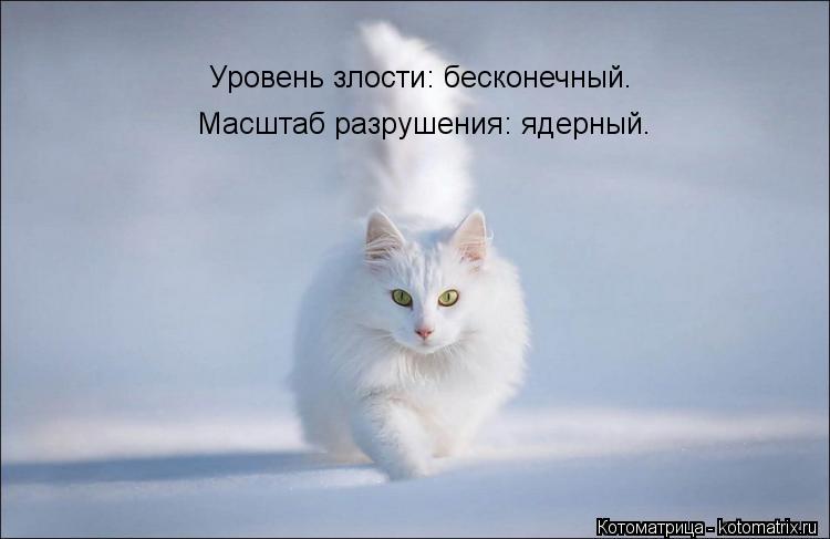 Уровень злости: бесконечный. Масштаб разрушения: ядерный.... Котоматрица: Уровень злости: бесконечный. Масштаб разрушения: ядерный.