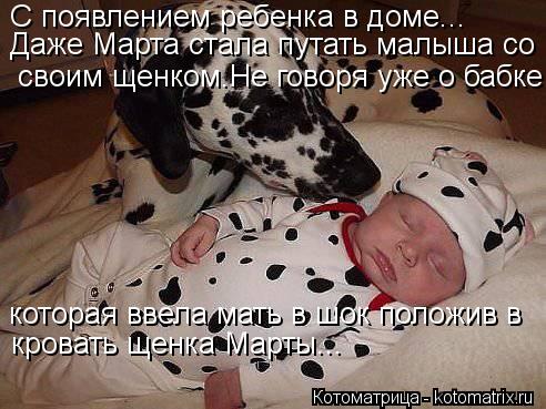 С появлением ребенка в доме... Даже Марта стала путать малыша со своим щенком.Не говоря уже о бабке ... Котоматрица: С появлением ребенка в доме... Даже Марта стала путать малыша со своим щенком.Не говоря уже о бабке которая ввела мать в шок положив в крова