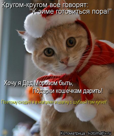 Кругом-кругом все говорят: "К зиме готовиться пора!" Хочу я Дед Морозом быть, Подарки кошечкам дарить... Котоматрица: Кругом-кругом все говорят: "К зиме готовиться пора!" Хочу я Дед Морозом быть, Подарки кошечкам дарить! Поэтому сходил я в магазин и шапку с шу