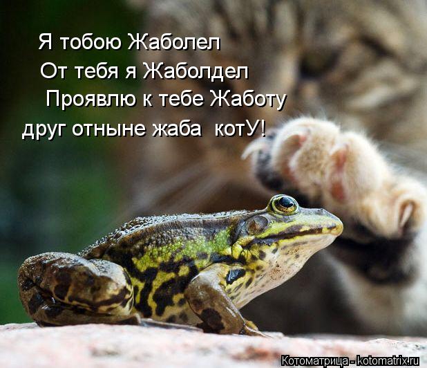 Я тобою Жаболел От тебя я Жаболдел Проявлю к тебе Жаботу друг отныне жаба котУ!... Котоматрица: Я тобою Жаболел От тебя я Жаболдел Проявлю к тебе Жаботу друг отныне жаба котУ!