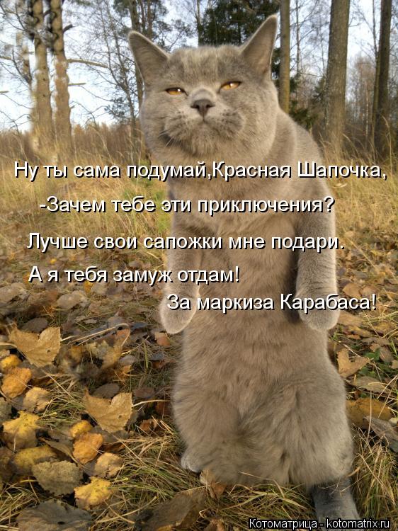 Ну ты сама подумай,Красная Шапочка, -Зачем тебе эти приключения? Лучше свои сапожки мне подари. А я т... Котоматрица: Ну ты сама подумай,Красная Шапочка, -Зачем тебе эти приключения? Лучше свои сапожки мне подари. А я тебя замуж отдам! За маркиза Карабаса!