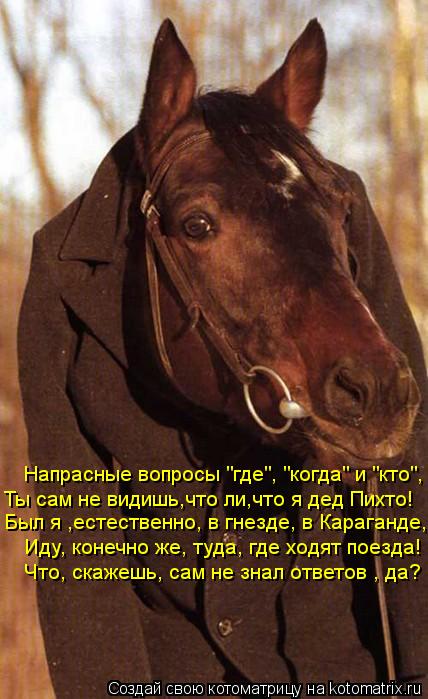 Напрасные вопросы "где", "когда" и "кто", Был я ,естественно, в гнезде, в Караганде, Иду, конечно же,... Котоматрица: Напрасные вопросы "где", "когда" и "кто", Был я ,естественно, в гнезде, в Караганде, Иду, конечно же, туда, где ходят поезда! Ты сам не видишь,что л