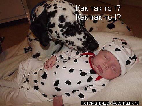 Как так то !? Как так то !?... Котоматрица: Как так то !? Как так то !?