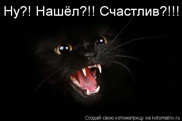 Котоматрица: Ну?! Нашёл?!! Счастлив?!!!