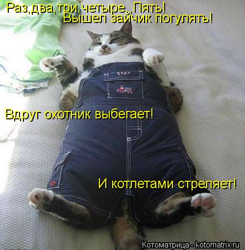 Котоматрица: Раз,два,три,четыре.,Пять! Вышел зайчик погулять! Вдруг охотник выбегает! И котлетами стреляет!