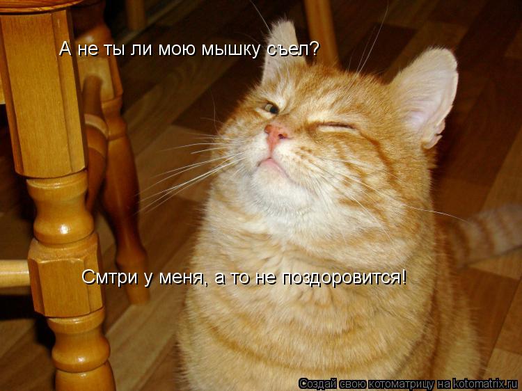 А не ты ли мою мышку съел? Смтри у меня, а то не поздоровится!... Котоматрица: А не ты ли мою мышку съел? Смтри у меня, а то не поздоровится!