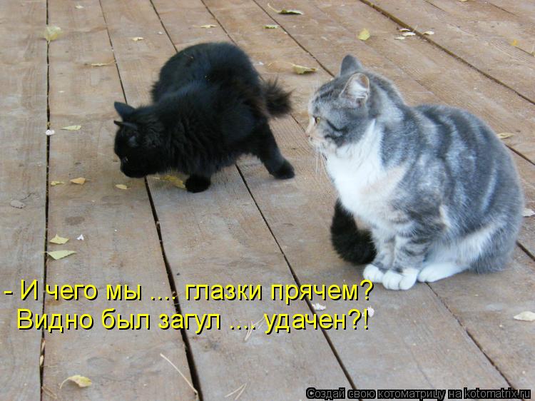Котоматрица: - И чего мы .... глазки прячем? Видно был загул .... удачен?!