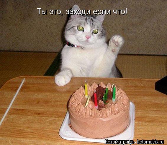 Ты это, заходи если что!... Котоматрица: Ты это, заходи если что!