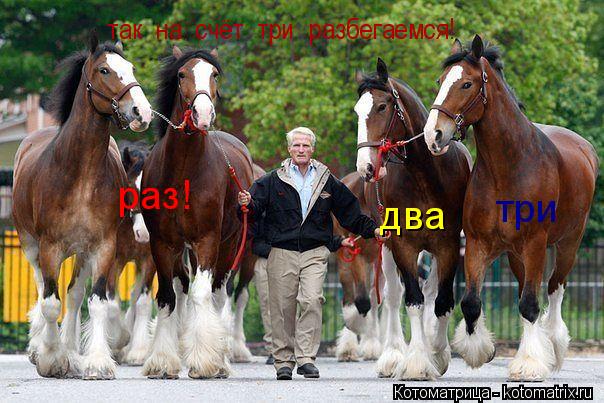 так на счёт три разбегаемся! раз! два три... Котоматрица: так на счёт три разбегаемся! раз! два три