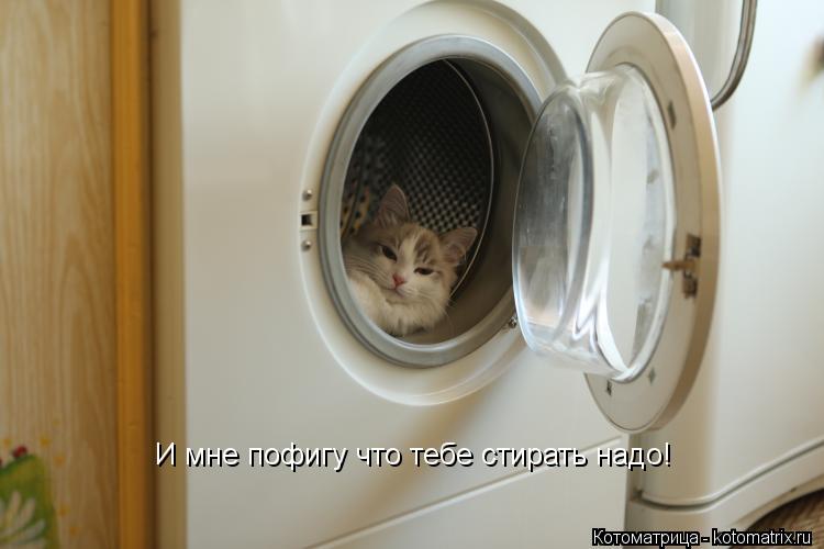 И мне пофигу что тебе стирать надо!... Котоматрица: И мне пофигу что тебе стирать надо!