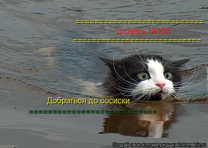 Котоматрица: уровень №100 Добраться до сосиски =========================== =========================== ===========================