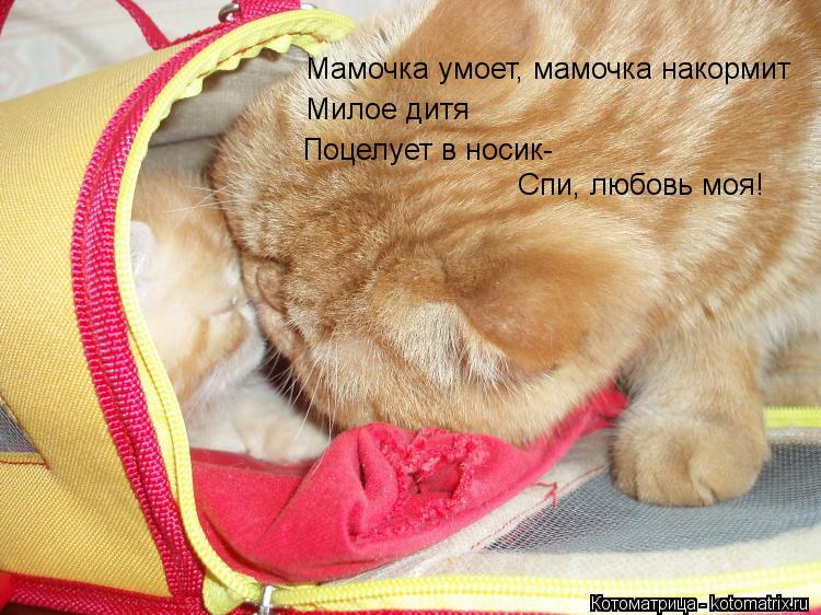 Мамочка умоет, мамочка накормит Милое дитя Поцелует в носик- Спи, любовь моя!... Котоматрица: Мамочка умоет, мамочка накормит Милое дитя Поцелует в носик- Спи, любовь моя!