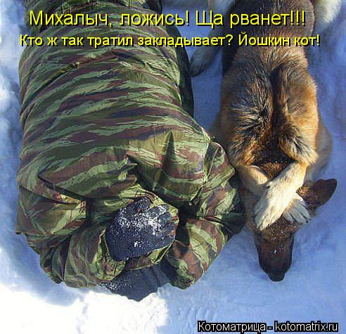 Михалыч, ложись! Ща рванет!!! Кто ж так тратил закладывает? Йошкин кот!... Котоматрица: Михалыч, ложись! Ща рванет!!! Кто ж так тратил закладывает? Йошкин кот!