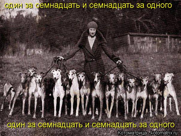 Котоматрица: один за семнадцать и семнадцать за одного один за семнадцать и семнадцать за одного