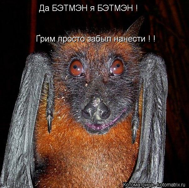 Котоматрица: Да БЭТМЭН я БЭТМЭН ! Грим просто забыл нанести ! !
