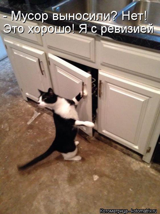 Котоматрица: - Мусор выносили? Нет! Это хорошо! Я с ревизией