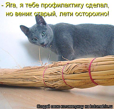 Котоматрица: - Яга, я тебе профилактику сделал,  но веник старый, лети осторожно!