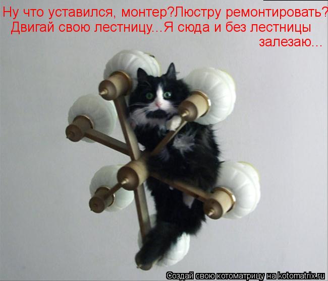 залезаю... Ну что уставился, монтер?Люстру ремонтировать? Двигай свою лестницу...Я сюда и без лестниц... Котоматрица: залезаю... Ну что уставился, монтер?Люстру ремонтировать? Двигай свою лестницу...Я сюда и без лестницы