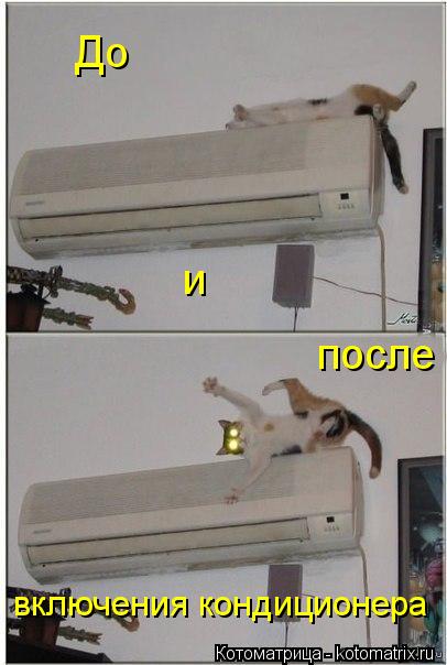 и после До включения кондиционера... Котоматрица: и после До включения кондиционера