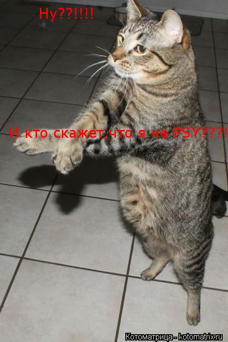 Ну??!!!! И кто скажет,что я не PSY???!!!!!... Котоматрица: Ну??!!!! И кто скажет,что я не PSY???!!!!!
