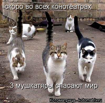 скоро во всех конотеатрах 3 мушкатяры спасают мир... Котоматрица: скоро во всех конотеатрах 3 мушкатяры спасают мир