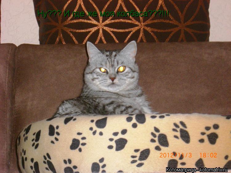 Ну??? И где же моя колбаса???!!!... Котоматрица: Ну??? И где же моя колбаса???!!!