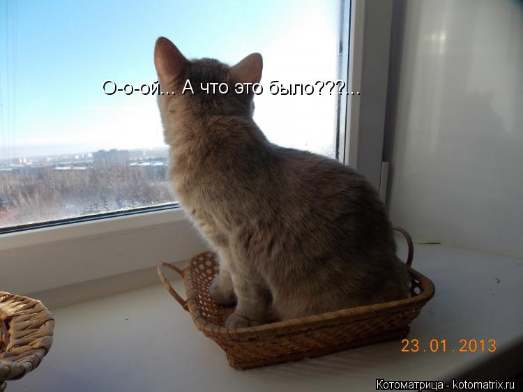 О-о-ой... А что это было???...... Котоматрица: О-о-ой... А что это было???...