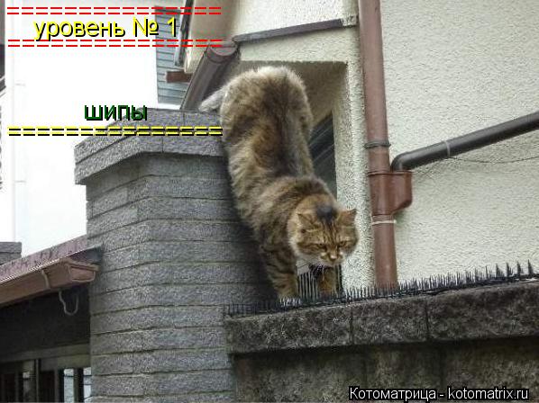 Котоматрица: =============== =============== уровень № 1 =============== шипы