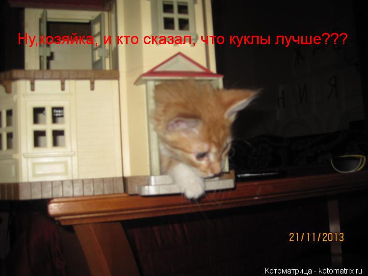 Ну,хозяйка, и кто сказал, что куклы лучше???... Котоматрица: Ну,хозяйка, и кто сказал, что куклы лучше???