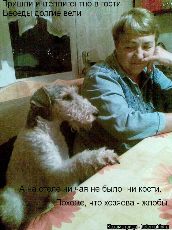 Пришли интеллигентно в гости Беседы долгие вели А на столе ни чая не было, ни кости. Похоже, что хо... Котоматрица: Пришли интеллигентно в гости Беседы долгие вели А на столе ни чая не было, ни кости. Похоже, что хозяева - жлобы.