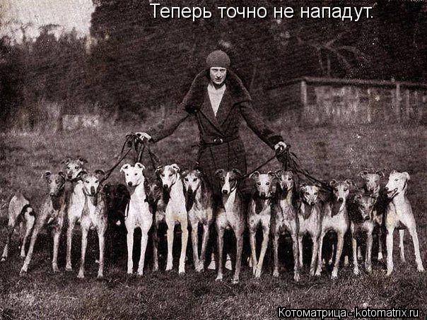 Котоматрица: Теперь точно не нападут.