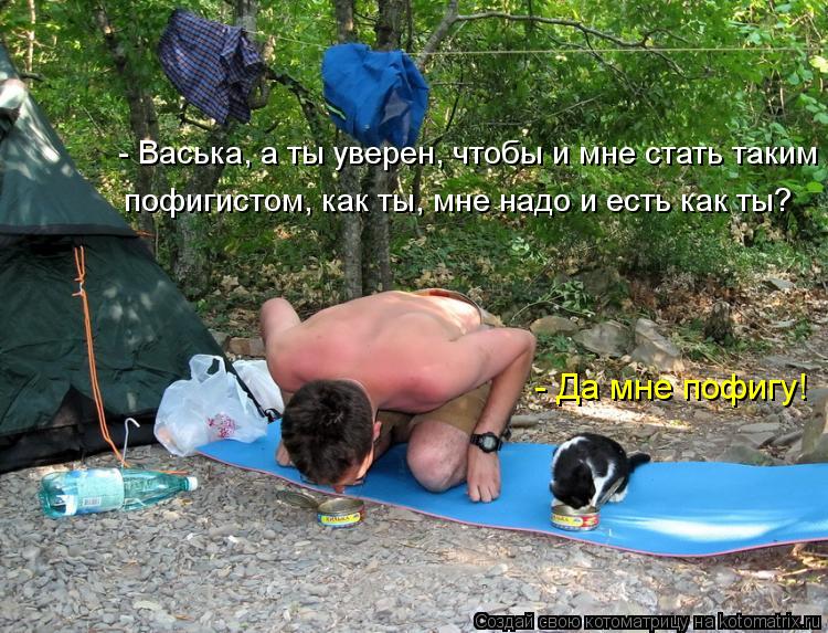 Котоматрица: - Васька, а ты уверен, чтобы и мне стать таким пофигистом, как ты, мне надо и есть как ты? - Да мне пофигу!