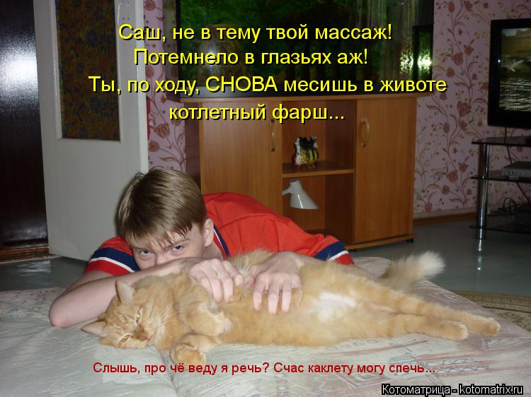 Саш, не в тему твой массаж! Потемнело в глазьях аж! Ты, по ходу, СНОВА месишь в животе Слышь, про чё ... Котоматрица: Саш, не в тему твой массаж! Потемнело в глазьях аж! Ты, по ходу, СНОВА месишь в животе Слышь, про чё веду я речь? Счас каклету могу спечь... котле