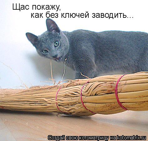 Котоматрица: Щас покажу,   как без ключей заводить...