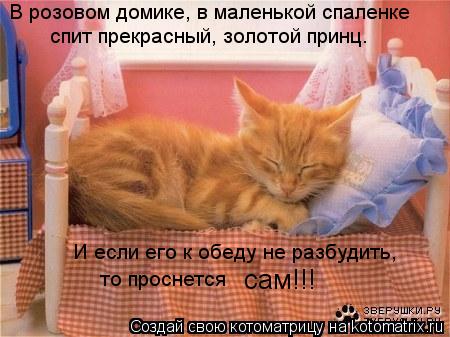В розовом домике, в маленькой спаленке спит прекрасный, золотой принц. И если его к обеду не разбуди... Котоматрица: В розовом домике, в маленькой спаленке спит прекрасный, золотой принц. И если его к обеду не разбудить, то проснется сам!!!
