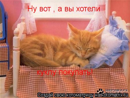 Котоматрица: Ну вот , а вы хотели куклу покупать!
