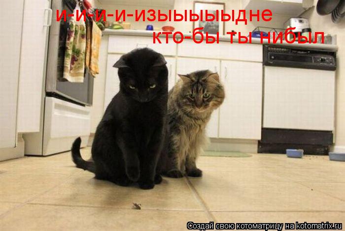 Котоматрица: и-и-и-и-изыыыыыдне кто-бы ты нибыл