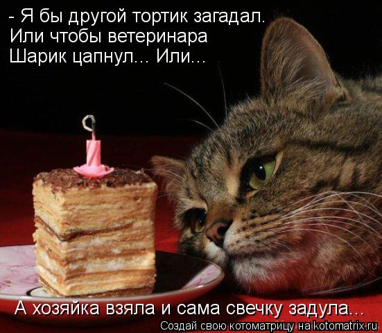 Котоматрица: - Я бы другой тортик загадал. Или чтобы ветеринара  Шарик цапнул... Или... А хозяйка взяла и сама свечку задула...
